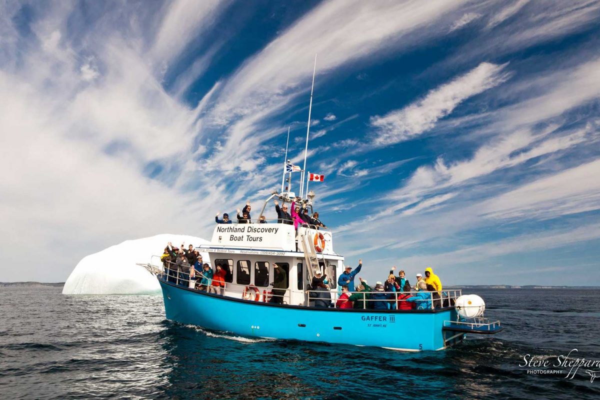 tour boats in nl