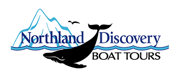 Northland Discovery Boat Tours