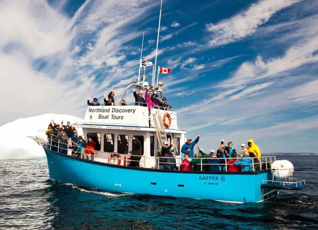 tour boats in st john's nl