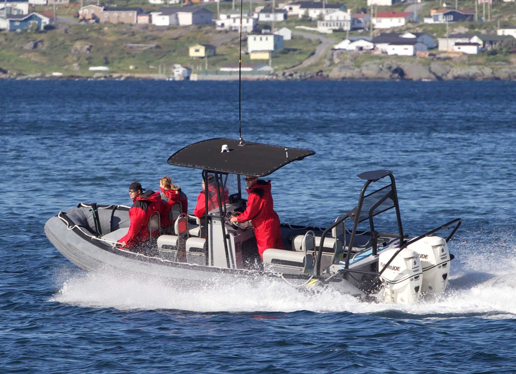 best iceberg tours in newfoundland