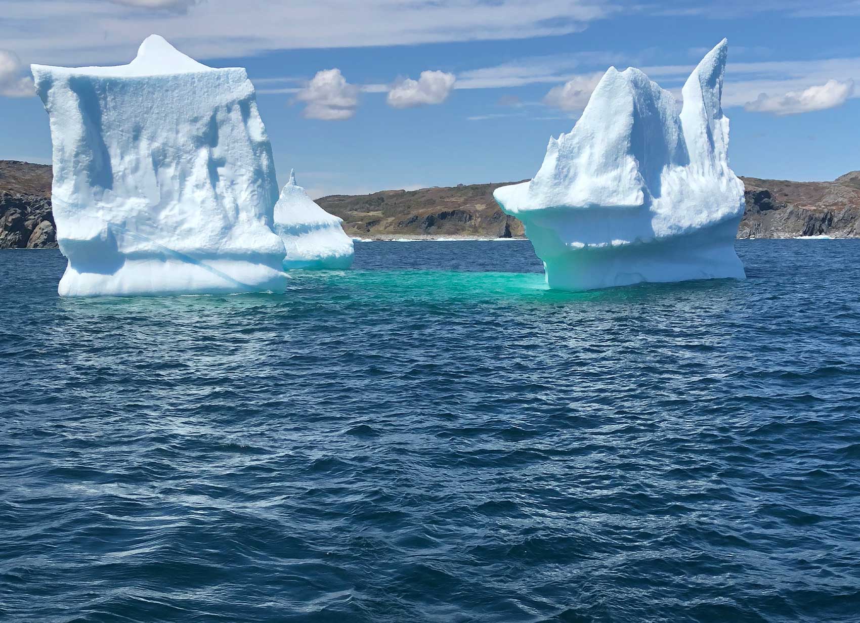 best iceberg tours in newfoundland