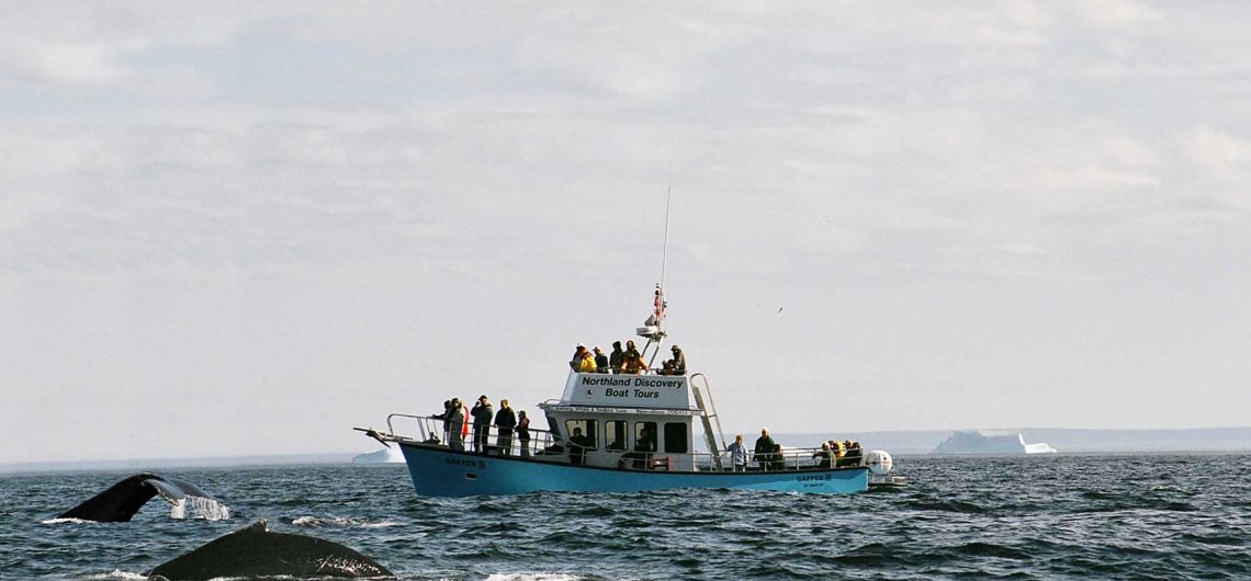 Everything You Need to Know About Hiring a Boat for Any Purpose