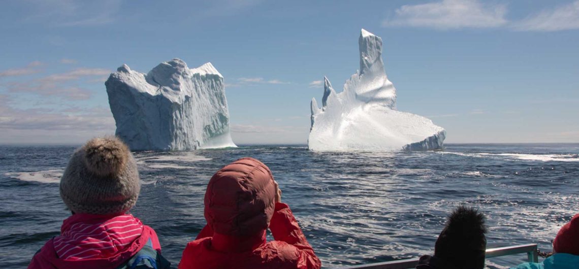 How Guided Tours Enhance Whale Watching Experiences